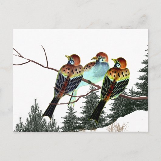 星が生まれある ポストカード (正面)