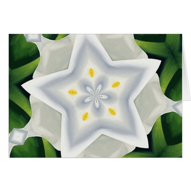 星です (正面横)