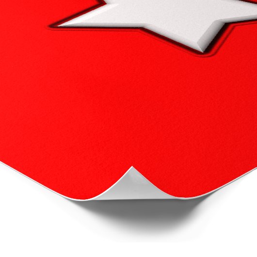 星で投票 ポスター (角)