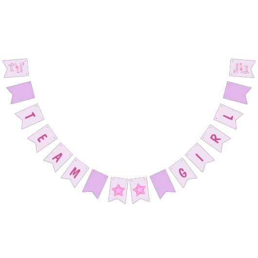 星とのチーム女の子の薄紫の紫色 バンティングフラッグ (全)