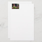 星とストライプ 便箋 (正面/裏面)