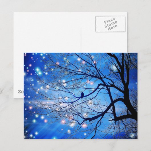 星と二人きりで ポストカード (正面/裏面)