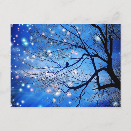 星と二人きりで ポストカード (正面)