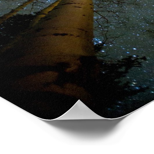 星と木 ポスター (角)