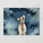 星と犬の水彩画　ペットの喪失 ポストカード (正面)