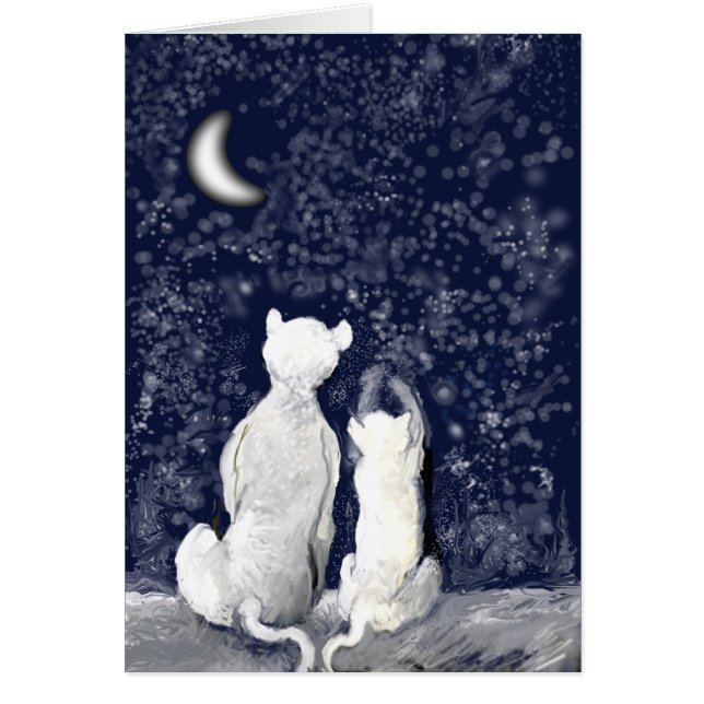 "星と遊びます" (正面)