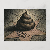 星にうんこ ポストカード (正面)