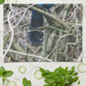 星のジェイ キッチンタオル (折り畳み)