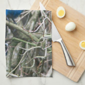 星のジェイ キッチンタオル (四つ折り)