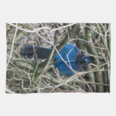 星のジェイ キッチンタオル (横)