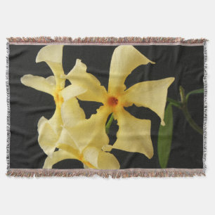 星のジャスミンの花大さじ スローブランケット