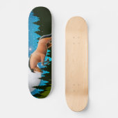 星のジャンパーの馬のスケートボード スケートボード (正面)