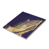 「星のベツレヘム」を伴うヴィンテージの祈る手 タイル (側面)