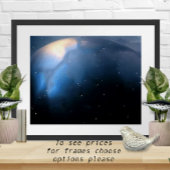 星の下 ポスター