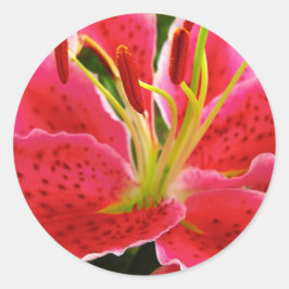 星の取締官ユリ ラウンドシール