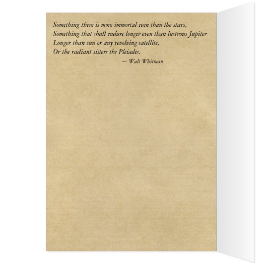 星の引用文の心配及び心配より不滅 (内側 (左))