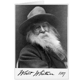 星の引用文の心配及び心配より不滅