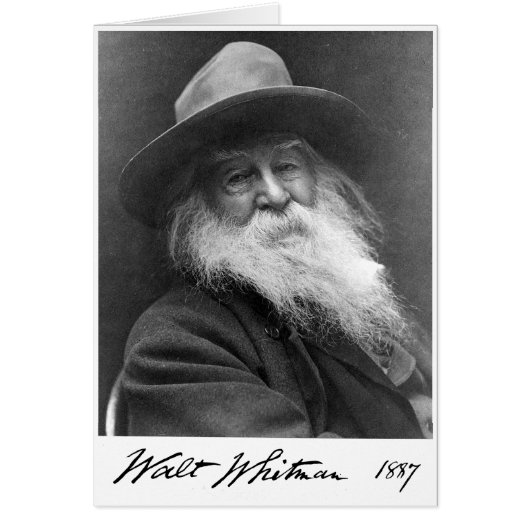 星の引用文の心配及び心配より不滅 (正面)