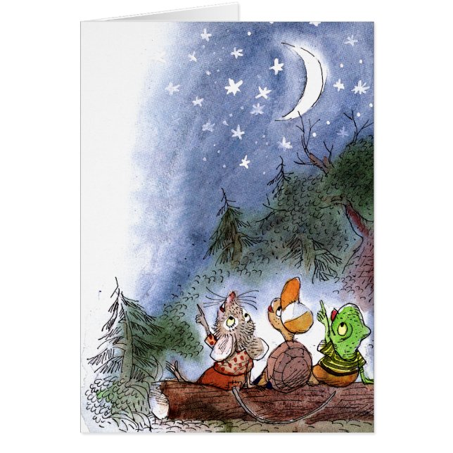 星の数え方 (正面)