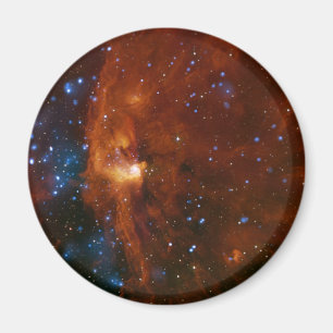 星の星の誕生RCW 108 NASA マグネット