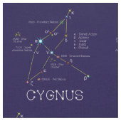 星の星座 ファブリック (クローズアップ)