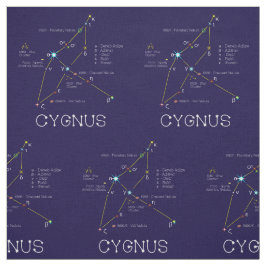 星の星座 ファブリック