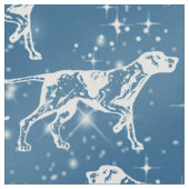 星の織物のポインタ ファブリック (クローズアップ)