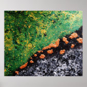 「星の落下」 ポスター (正面)