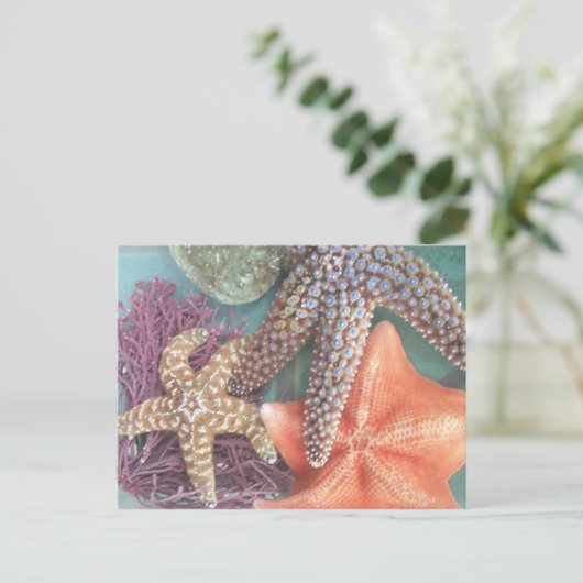 星の表示 ポストカード (スタンド正面)