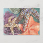 星の表示 ポストカード (正面)