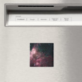 星の誕生と死を示す赤外線 マグネット (インサイチュ (食洗機))