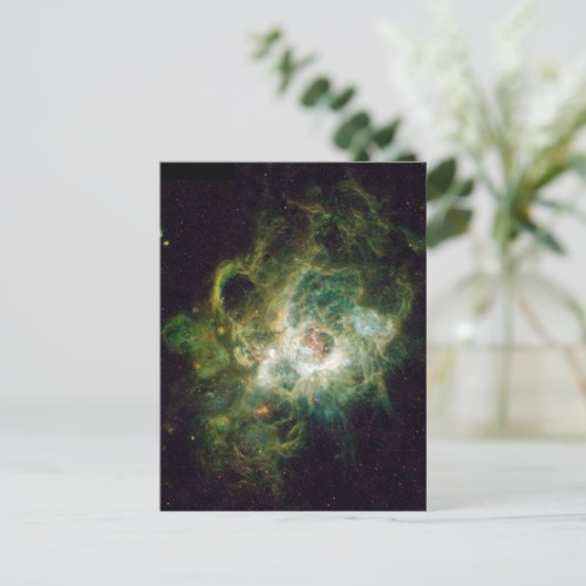 星の誕生 ポストカード (スタンド正面)