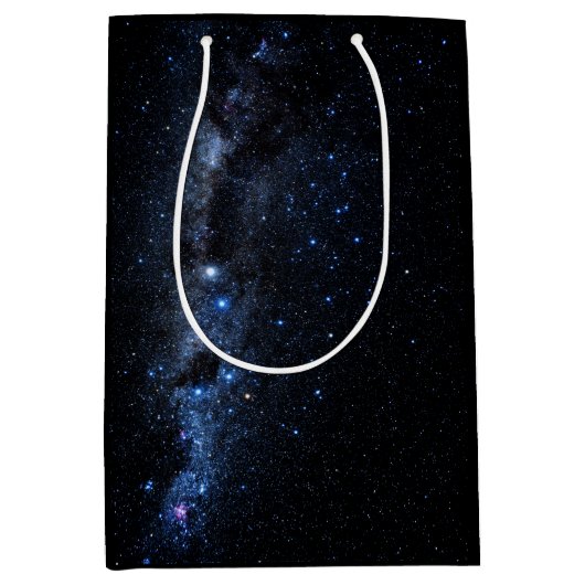 星の集り ミディアムペーパーバッグ (正面)