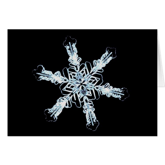 星の雪の水晶 (正面横)