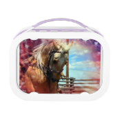 星の馬 ランチボックス (正面)