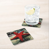 星の魚|の紅海 スクエアペーパーコースター (インサイチュ)