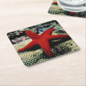星の魚|の紅海 スクエアペーパーコースター (アングル)