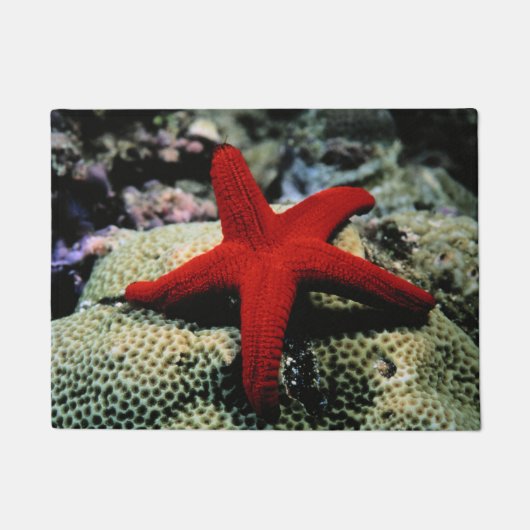 星の魚|の紅海 ドアマット (正面)