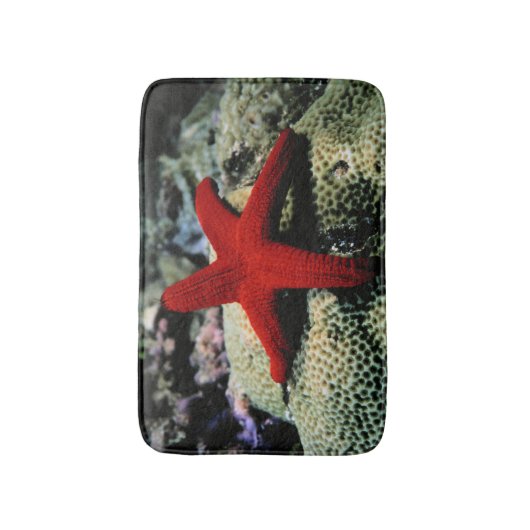 星の魚|の紅海 バスマット (正面縦)