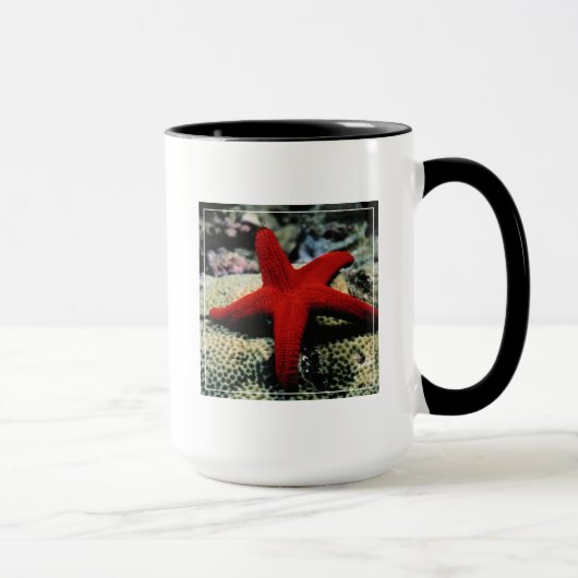 星の魚|の紅海 マグカップ (右)
