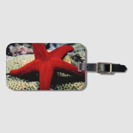 星の魚|の紅海 ラゲッジタグ (正面横)