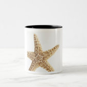 星の魚 ツートーンマグカップ (中央)