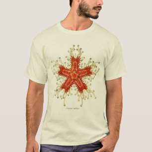 星の魚 Tシャツ