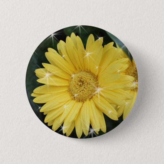 星の黄色いガーベラの花 缶バッジ (正面)
