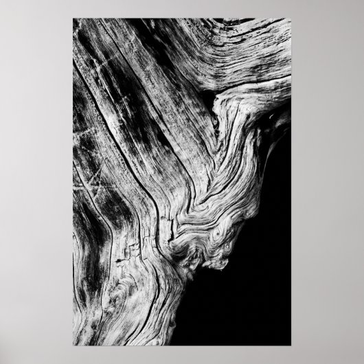 星はそう言う ポスター (正面)