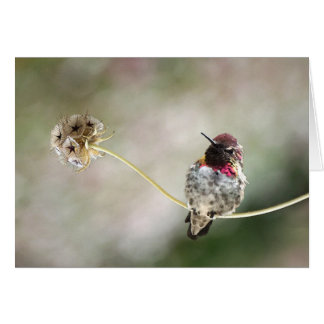 星は生まれました