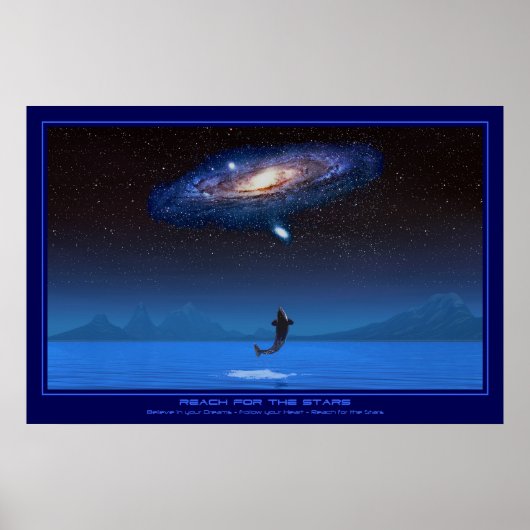 星を求めてリーチ ポスター (正面)