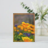 星を目指して手を伸ばす ポストカード (スタンド正面)