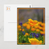 星を目指して手を伸ばす ポストカード (正面/裏面)