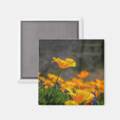 星を目指す マグネット (正面/裏面)